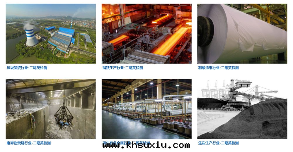 二(èr)惡英檢測 二(èr)噁英檢測機(jī)構